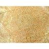 Used Heiwaya Kimono Nishijin Hattori Fabric Hand Made Six Pattern Fukuro Obi Orient Chintz Gold Thread Pure Silk Masterpiece DABG5575fe