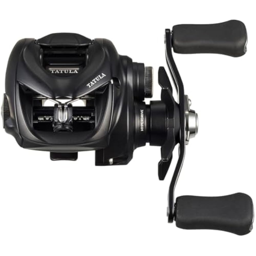Daiwa (DAIWA) Bait Reel 24TW 100HL