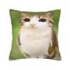 Surprised Meowl cat Owl Square Pillow Case  Cushion Cover Fashion Zipper Decor Throw Pillow Case Cover for Living Room 40*40cm