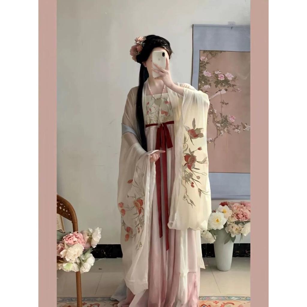 Chinese Tang Dynasty Style Hanfu Embroidered Large Sleeve Shirt HE ZI Skirt Daily Suit For Women