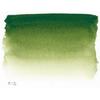 Watercolor Paint - Sennelier - 10ml Tube S1 - Sap Green Color - High Quality - Mixed