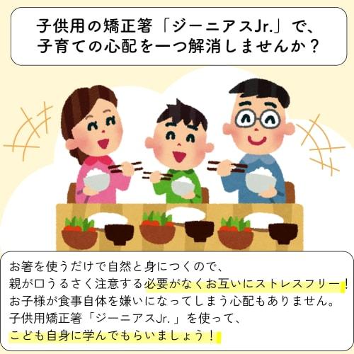 FlaColle Genius Jr. [Serious Training Chopsticks Designed for Children] Children's Corrective Chopsticks [Designed To Be Difficult To Hold, Allowing Y