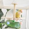 Rotating Parrots Toy Wooden Rotating Bells Windmills Colorful Interactive Decoration For Bird Intelligence