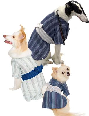 ONEKOSAMA OINUSAMA Hund Hundekleidung Katze Katze Yukata Yukata Junge japanische Kleidung japanische Kleidung Hundebekleidung Festival Sommerfest Neujahr