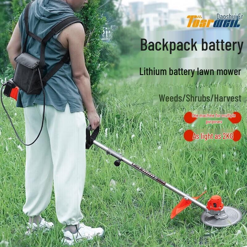 

TOSRWELL Outdoor Power Equipment CN plug (adapter included)