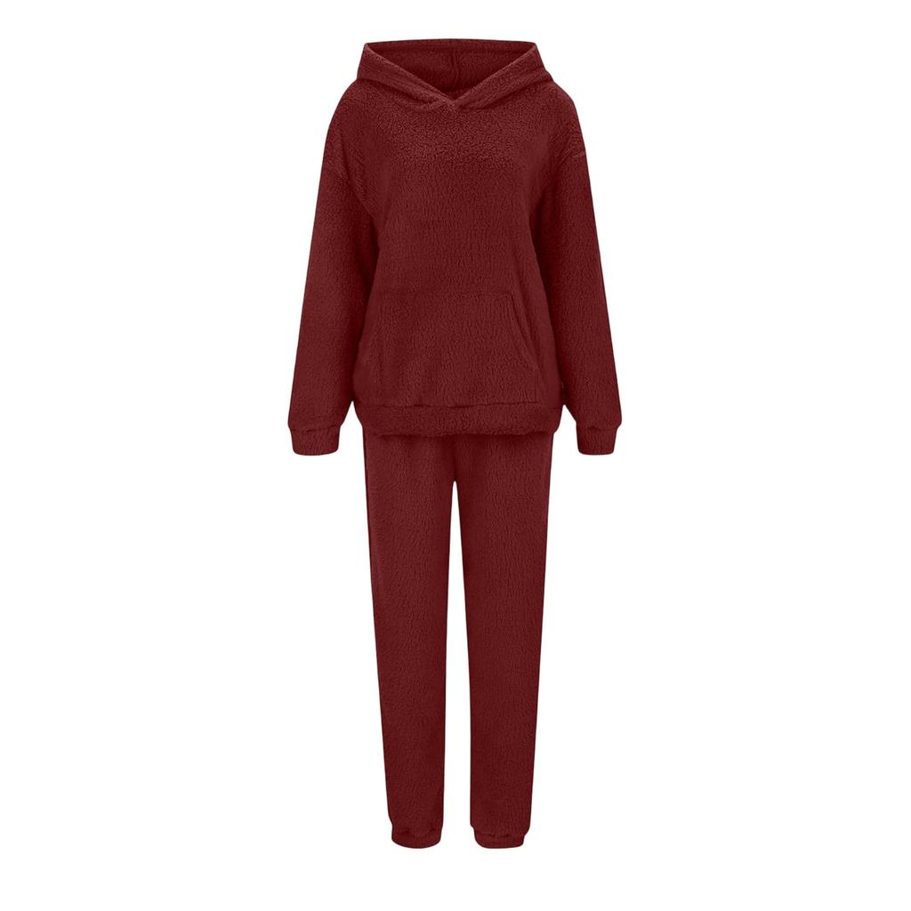 Women's Sweatshirt and Sweatpants Set Long Sleeve Elastic Waist Casual Fall Winter Wear