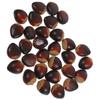 30 Pcs Foam Chestnut Artificial Nuts Decorations Fake Food Prop Nut Model Display Easy Clean Lightweight Portable