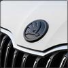 1Pcs 80/90/100MM Car Front Grille Logo Hood Badge Emblem Sticker For Skoda OCTAVIA RS FABIA KAMIQ KAROQ KODIAQ RAPID SCALA SUPERB