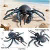Ocean Crab Simulation Toy Set: Includes Hermit, Swimming, and Three-Spot Plastic Models