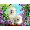 Flower DIY 5D Diamond Painting Full Round Drill Cat Diamond Embroidery Animal Cross Stitch Mosaic Rhinestones Art Handwork Gift