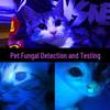 Professional UV 365nm Blacklight Flashlight