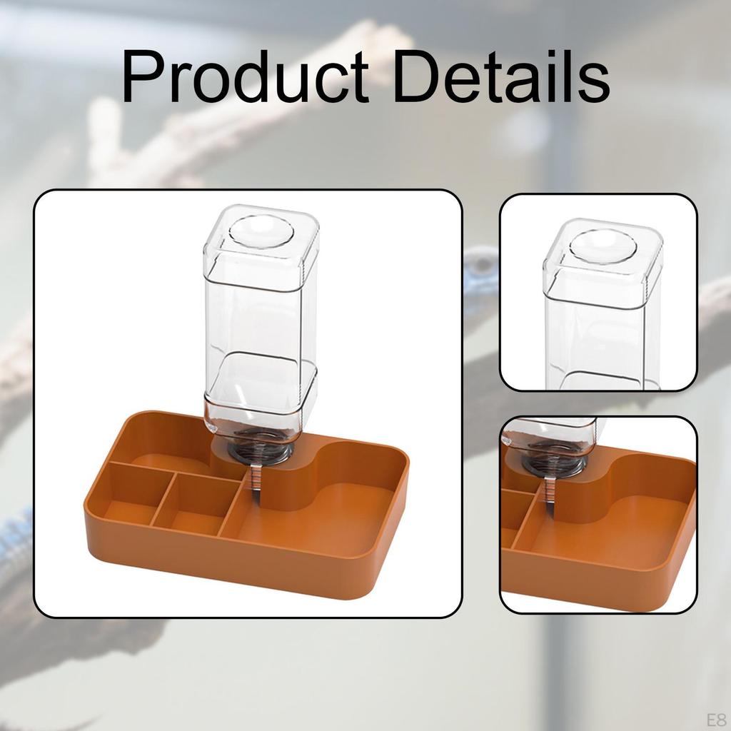 Distributeur d'eau automatique pour reptiles, abreuvoir, gamelle pour nourriture, pour gecko, caméléon