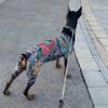 Four Seasons Pet Tattoo Vest Funny Pet Clothes Creativity Dog Cat Tattoo Jacket  For Pet S To 6XL