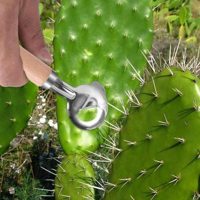 Cactus Peeler Chinese Noodle Cutter Manual Cactus Thorn Remover with Wood Handle Pasta Cutter for Kitchen Dining Room