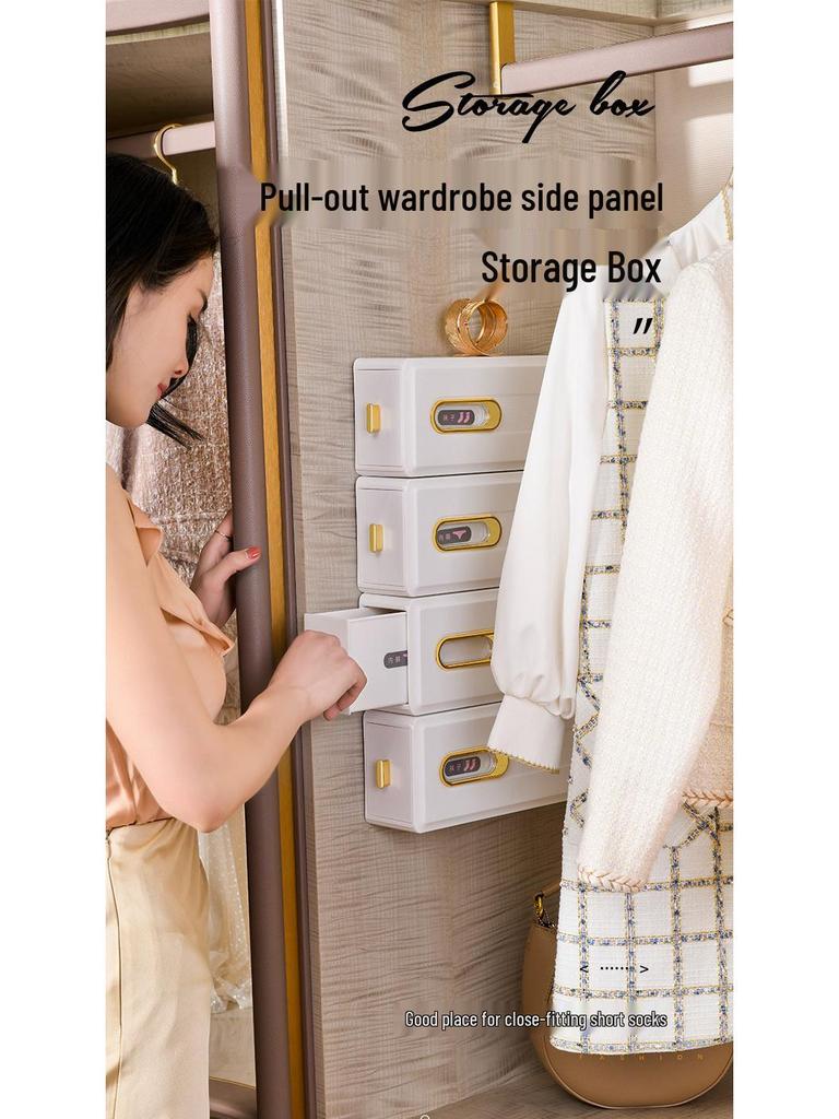 Wall-Mounted Sock & Underwear Organizer: Drawer-Style, Grid Design, Space-Saving Solution