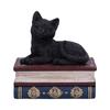 Figurine - NEMESIS NOW - Chat noir - 11.7 cm - Résine - Espace de rangement