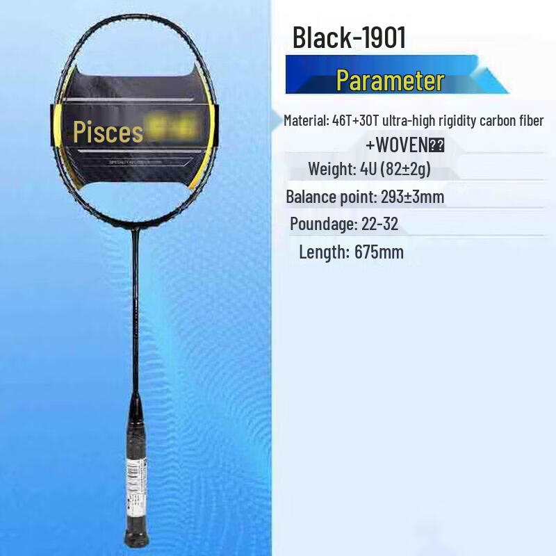 Double Fish 1901 Full Carbon Badminton Racket