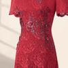 Elegant Vintage Red Lace Mother of the Bride Gown