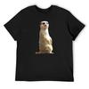 Meerkat T-Shirt Luxury Designer Cotton Graphic Tees Anime Shirt Blue Archive Black T-shirts for Men