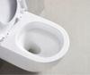 Pureline Fluxa 49X36 CM Tornado Wall-Hung Toilet With Seat W/O White