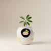 Emotional Companion Pot Talking Flower Pot Intelligent Automatic Watering Planter for Office, Desktop