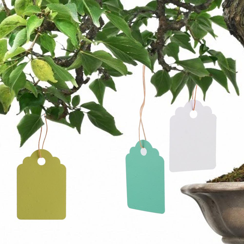 300Pcs Plastic Plant Labels Reusable Garden Plant Labels, Plant Labels Plant s Garden Plant Name Labels