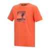 Regatta Mens Cline IX Beach T-Shirt