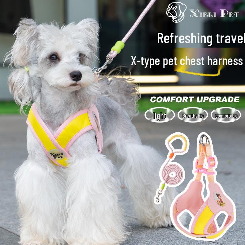 Anti-Shock Nylon Dog Leash - Cross-border Style, Anti-lost Design for Small Dogs