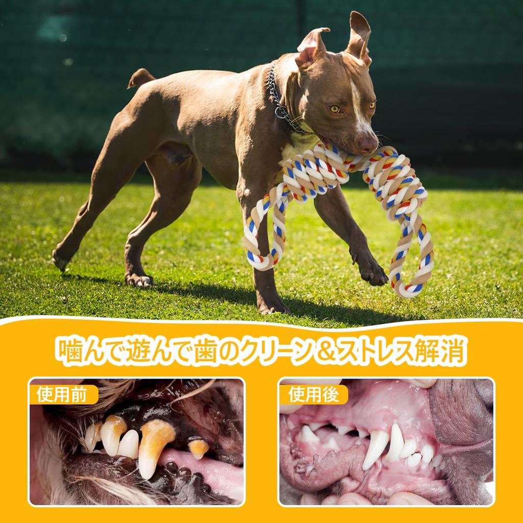 ETACCU Dog Rope Dog Set of Medium and Large Dog Dog Chewing Pet Stress Toothbrushing String String Dog Lack of Exercise Toy, Toy, Rope, 2, Dogs, 55cm,