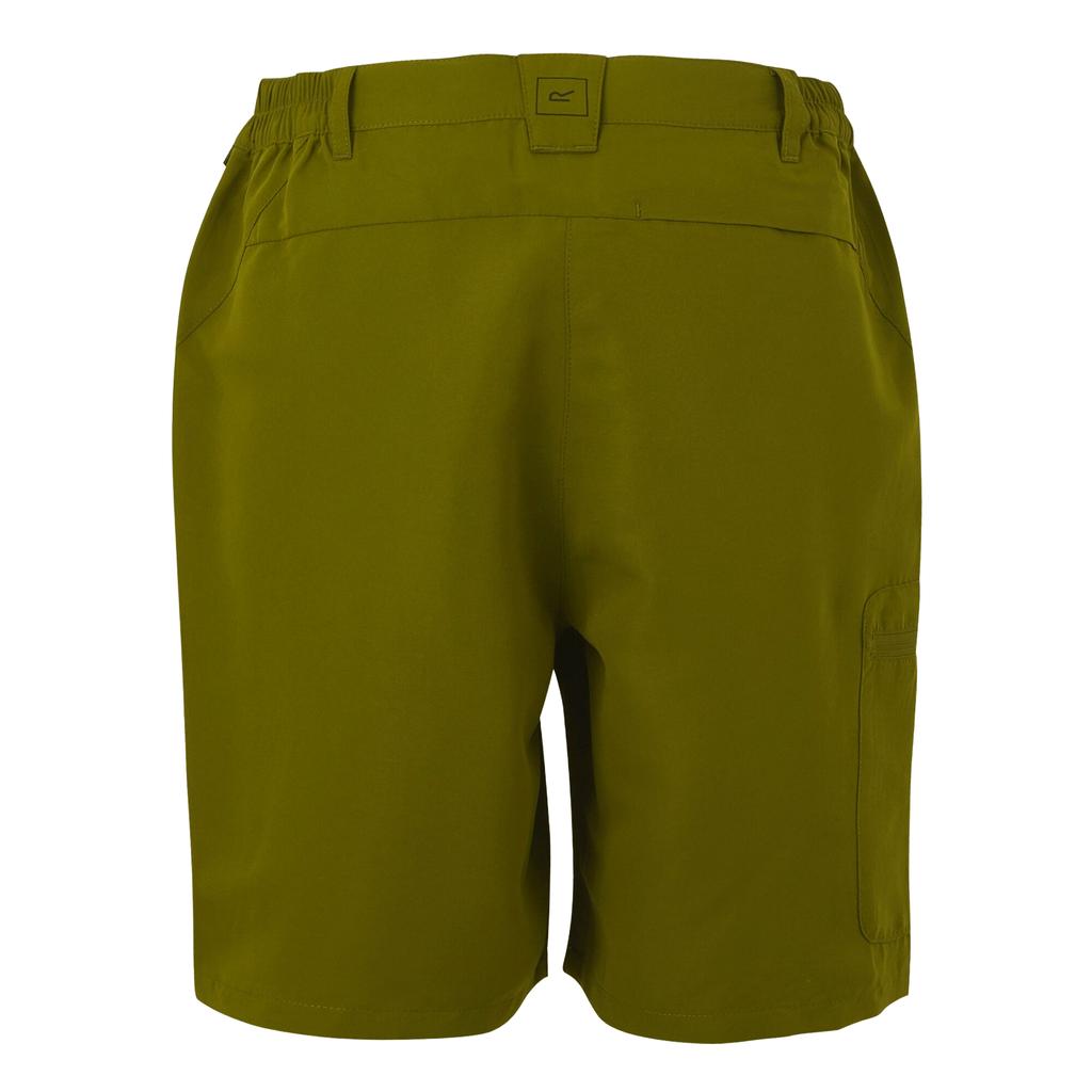 Regatta Womens/Ladies Chaska III Walking Shorts