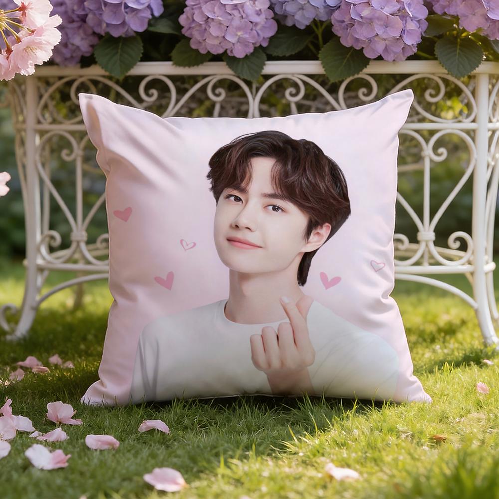 Singer W-Wang Yibo Cushion Cover Home & Car Dual-Scene Pillow Cover: Reversible For Premium Comfort