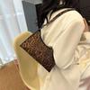 Women's Underarm Bags Autumn and Wibnter Trendy Shoulder Bag Cute Simple Handbags and Purses Female Travel Small Totes