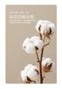 Mercury Home Textile Jacquard Light Luxury A-class Smooth Four Piece Warm Moon Floating Flower Set Bedding