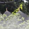 5pcs Adjustable Copper Misting Nozzle Garden Patio Water Mister Garden Lawn Water Sprinkler with Connect the 4/7mm hose