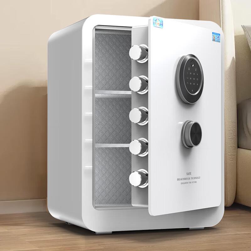 Tiger Home Security Safe, Begonia Series