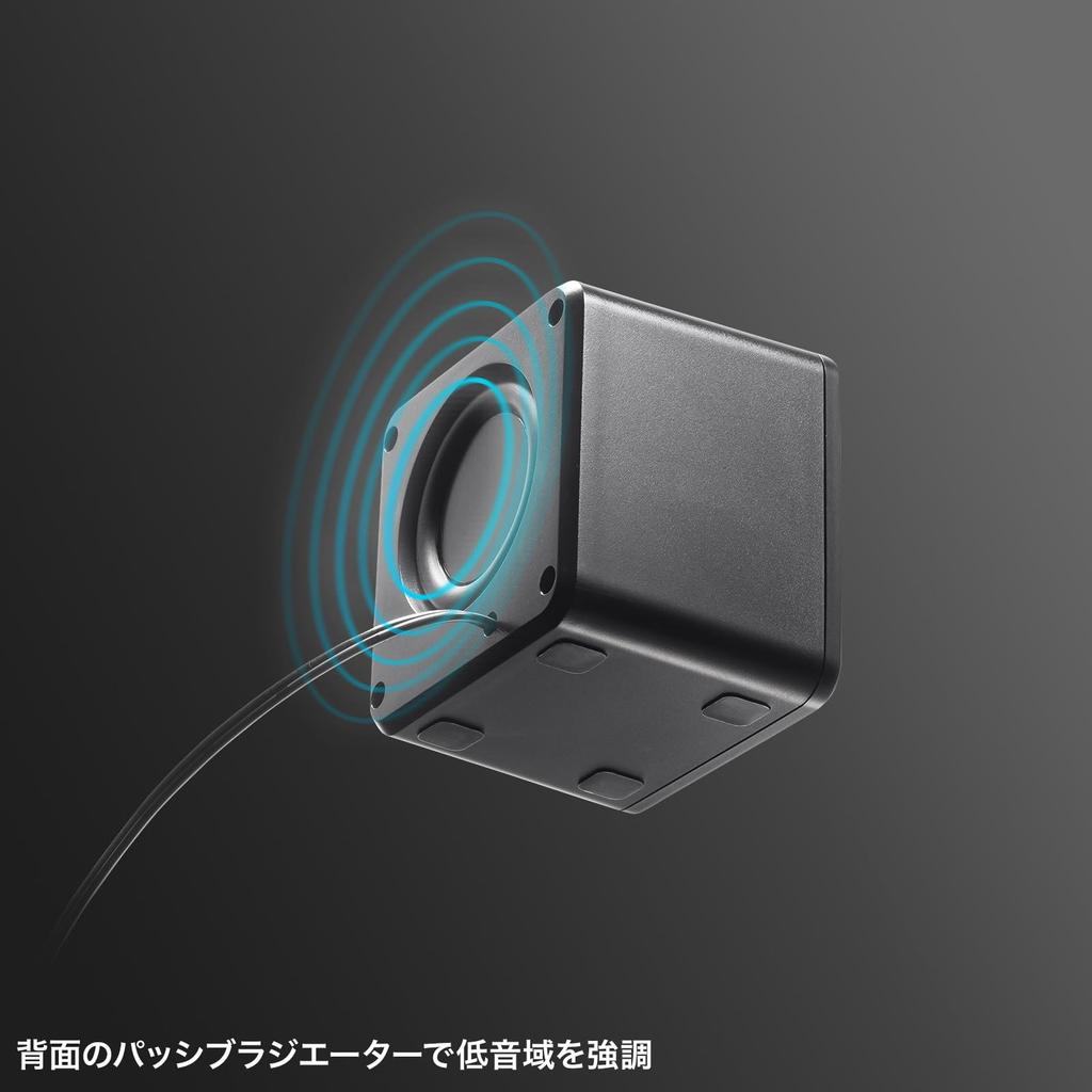 Sanwa Supply PC-Lautsprecher USB-betrieben Kompakt 6W Passivradiator mit Ein-/Aus-Schalter Schwarz MM-SPU21BK
