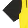 Puma Dortmund 2024 25 Home Jersey