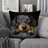 1 Stück Dackel Hund Niedlich Thematisch Bedruckter Kissenbezug, Geeignet für Sofa, Schlafzimmer, Wohnzimmer, Heilendes Geschenk für Hundeliebhaber.