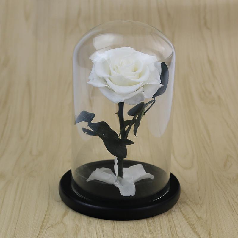 Eternal Flower Glass Cover Little Prince Rose Valentine's Day Gift Premium Finished Gift Box
