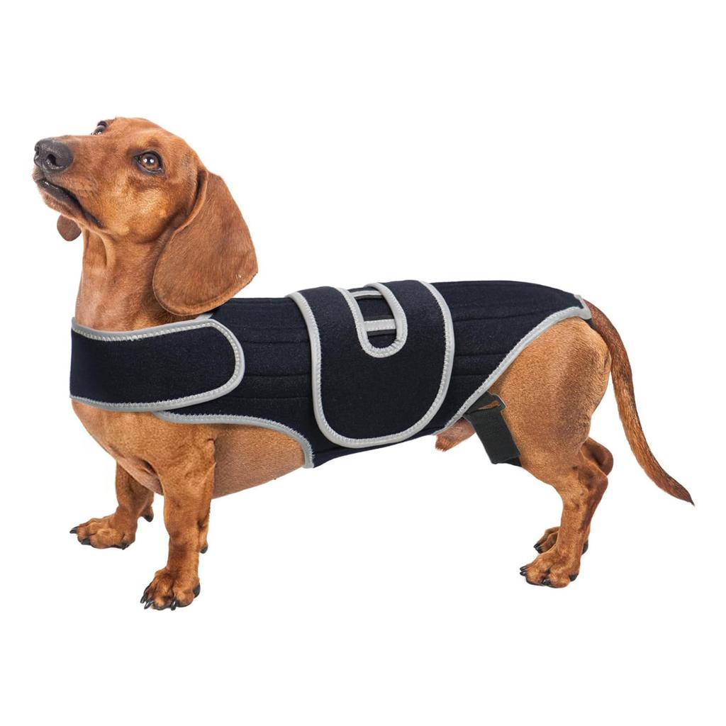 Strong Support Intervertebral Disc Dog Brace For Intervertebral Disc