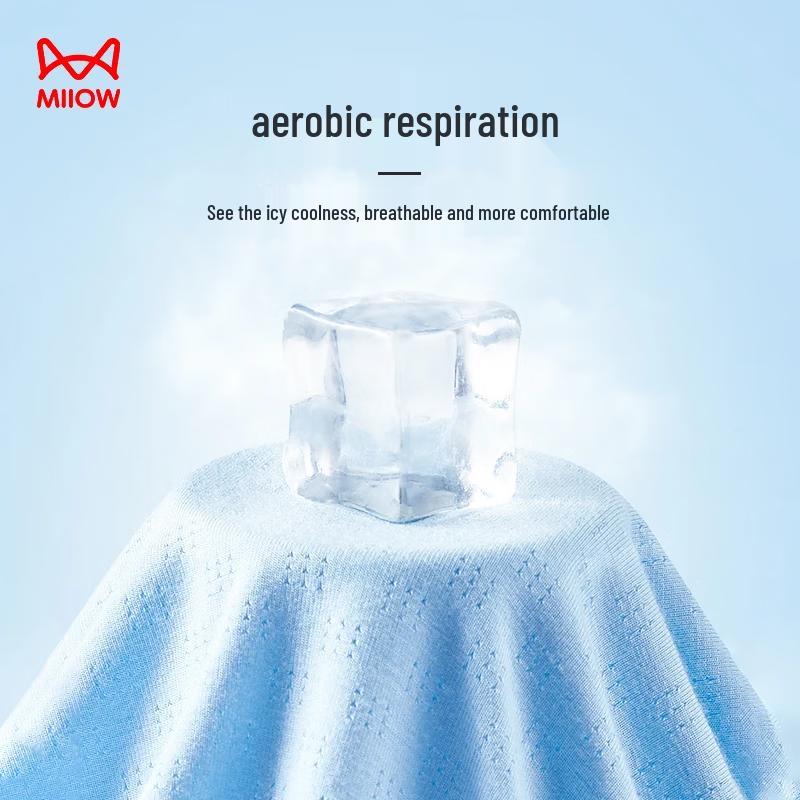 MaoRen Teen Boys Ice Silk Breathable Underwear 4-Pack