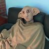 Dobby Mask for Halloween Party Cosplay Role Play - Funny Elf Full Head Mask Ideal for Themed Events Adding Fun To Your Outfit