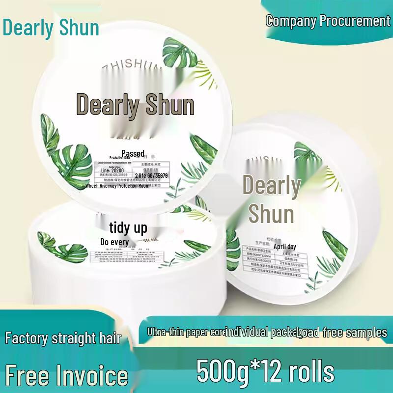 Ally Commercial Large Roll Toilet Paper