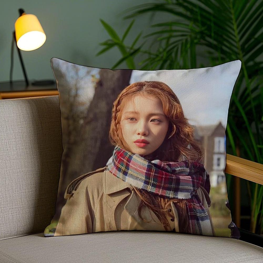 SSungkyung LLee ACTOR Pillow Case Silky Elegant Comfort Sofa Bed Invisible Zipper