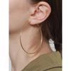 Laraine Yin Exaggerated Large Round Titanium Steel Hook Earrings