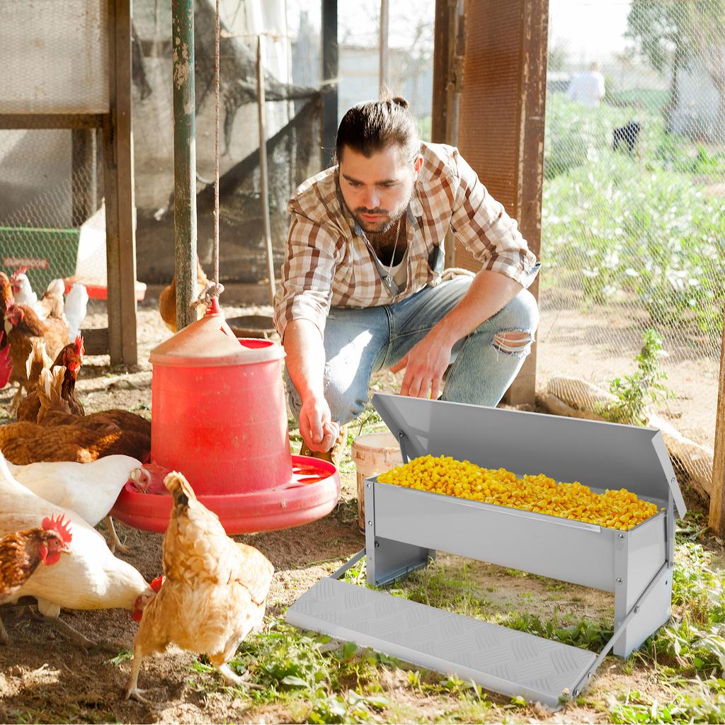 5KG Automatic Chicken Feeder with Weatherproof Lid Automatic Treadle Feeder Galvanized Steel Poultry Feeder for Geese Ducks