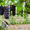10pcs Bird-Repellent Reflective Spira Wind-Turning Vegetable Yard Bird Scaring Stick Anti-Bird Deterrent Gardening Accessories