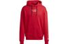 Sweatshirts Men's Red Crew Neck Moderate Regular HT1992