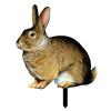 Realistic Acrylic Animal Yard Stake, 2D Flat Chicken Goose Bird Bunny Garden Sign for Pathway, Patio, Lawn Outdoor