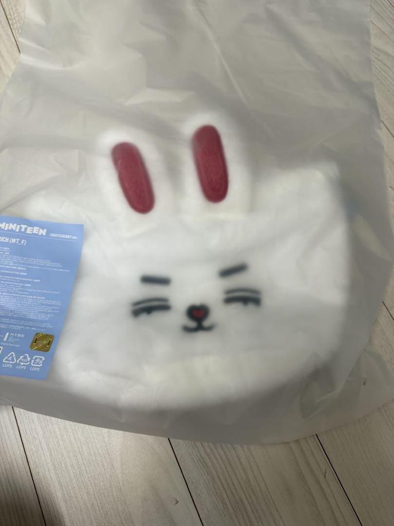[USED] Seventeen Miniteen S.Coups Pouch Seungcheol